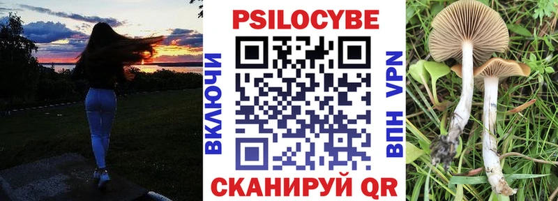 Псилоцибиновые грибы мицелий  купить наркотик  Ясный 